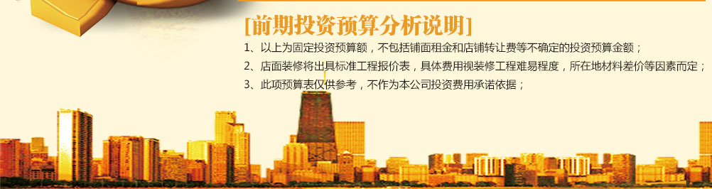 前期投资预算分析说明